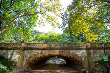 bridge in central park new york city with green trees