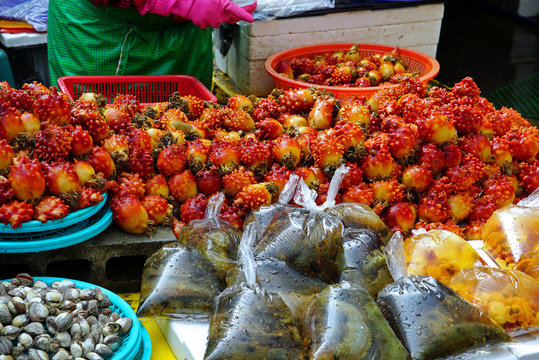 Korean seafood(Sea squirt and Sea cucumber) at Jagalchi seafood market Busan Korea