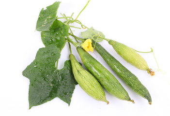 zucchini, its flower and leaves on white background
