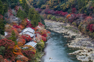 Arashiyama autumn view
