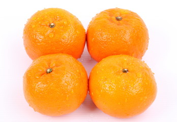 Orange on a white background