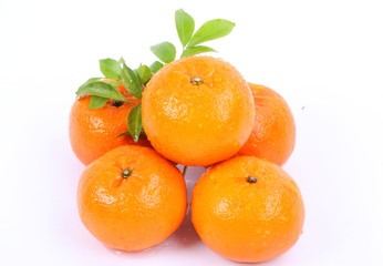 Orange on a white background
