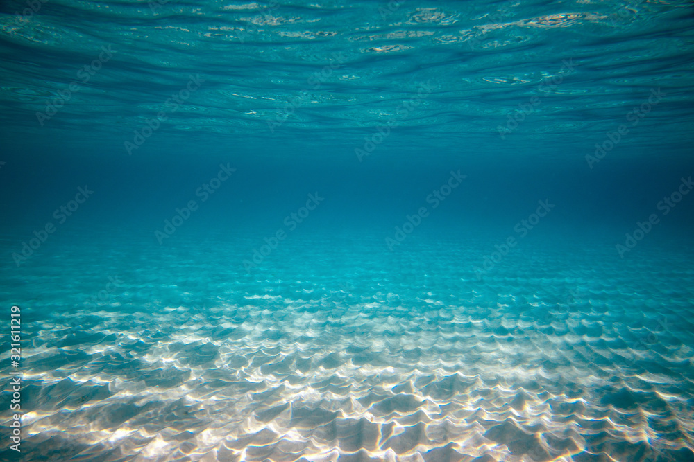 Wall mural empty underwater ocean bottom background with copy space
