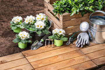 Gardening Tools And Flowers