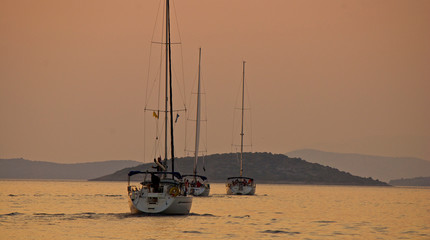 Flotilla of sailboats returning at sunset to harbor 