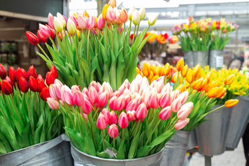 Bunches of beautiful tulip flowers for sale in a flower market. Colorful tulips. Florist service. Woman day