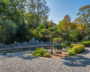 Obraz premium Bright autumn day in the botanical garden, trees and a small pond