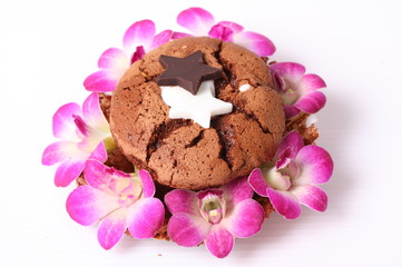 Cupcakes and pink orchids on white background