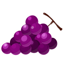 Simple fruit illustration