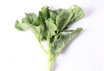 Chinese kale on white background