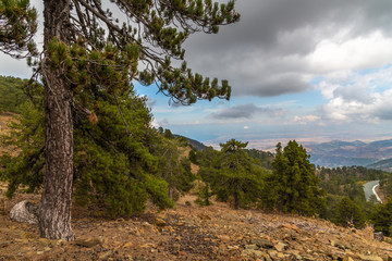 View from Mount Olympus, highest peak of the island of Cyprus.