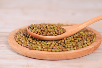 Mung bean