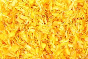 Close up Marigold petals background