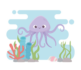 octopus seashell stones life coral reef cartoon under the sea
