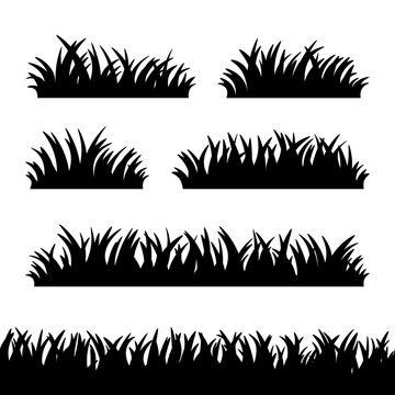 Set of grass silhouettes on the white background. Vector illustration.