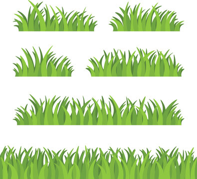 Set of green grass isolated on white background. Vector illustration.