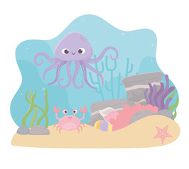 octopus crab starfish life coral reef cartoon under the sea