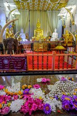 Kandy, Sri Lanka - January 2020: Buddha statue at the Alut Maligawa Buddhist Temple on January 26, 2020 in Kandy, Sri Lanka.