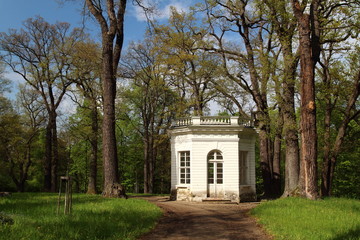 gazebo in the park