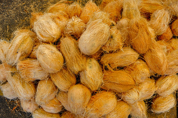 Coconuts in a market in Colombo, Sri Lanka.