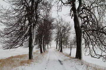 winter road alley