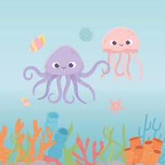 octopus jellyfish starfish life coral reef cartoon under the sea
