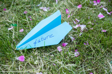 Paper blue airplane with the inscription "future" lies on the grass with fallen rose petals. The concept of the future, dreams, goals, suspense