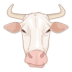 Cartoon Cow Head. Vector Cattle Illustration