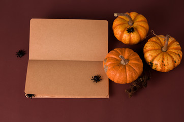 Halloween dark red background with orange pumpkin, spiders and old paper Notepad for text with copy space