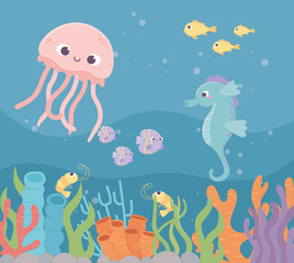 Fototapeta na wymiar jellyfish seahorse fishes shrimp life coral reef under the sea