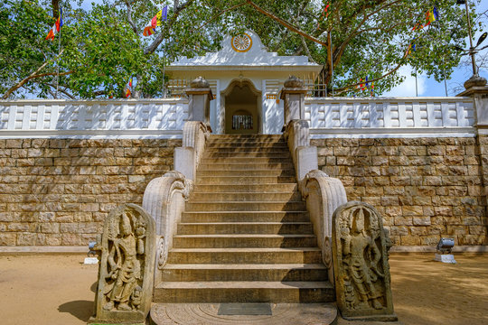 Anuradhapura, Sri Lanka - February 2020: The Jaya Sri Maha Bodhi Buddhist temple on February 6, 2020 in Anuradhapura, Sri Lanka.