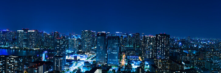 Tokyo city buildings skyline at night
