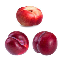 Nectarines