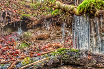 waterfall in the forest