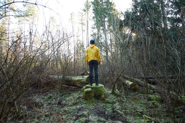 Obraz premium Man, weared in yellow raincoat, standing on a mossy stump among woods in forest
