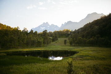 Mountain green landscape reflection. Meadow and little wild pond during sunset.