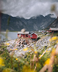 Wooden fisherman cabin on Lofoten Islands, Norway. Norwegian coast landscape with a typical red house.