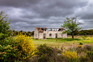 Fototapeta premium Camino de Santiago (de Colmenar Viejo a Manzanares el Real)
