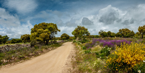 Camino de Santiago (de Colmenar Viejo a Manzanares el Real)