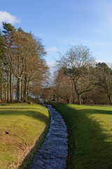 A small man made stream with water flowing into the Reservoir between the trees in a graceful curve on a sunny day in February.