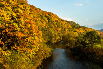 Obraz premium 川沿いの紅葉 北海道