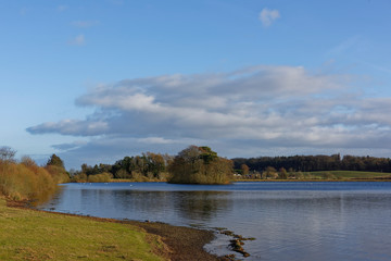 Fototapeta na wymiar Looking over the main Reservoir at Monikie Country Park, with a heavily wooded small Island in the distance, and buildings and Fields in the background.