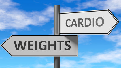Obraz premium Weights and cardio as a choice - pictured as words Weights, cardio on road signs to show that when a person makes decision he can choose either Weights or cardio as an option, 3d illustration