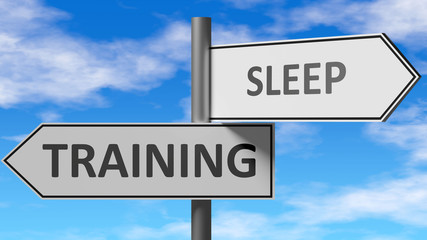 Training and sleep as a choice - pictured as words Training, sleep on road signs to show that when a person makes decision he can choose either Training or sleep as an option, 3d illustration