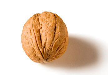 Still life with a whole walnut on white background.
