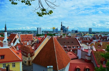 view of old town of tallinn