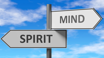 Fototapeta na wymiar Spirit and mind as a choice - pictured as words Spirit, mind on road signs to show that when a person makes decision he can choose either Spirit or mind as an option, 3d illustration