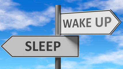 Sleep and wake up as a choice - pictured as words Sleep, wake up on road signs to show that when a person makes decision he can choose either Sleep or wake up as an option, 3d illustration