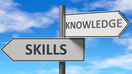 Fototapeta premium Skills and knowledge as a choice - pictured as words Skills, knowledge on road signs to show that when a person makes decision he can choose either Skills or knowledge as an option, 3d illustration