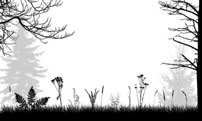 Field, silhouettes of wild weeds and trees. Vector illustration.